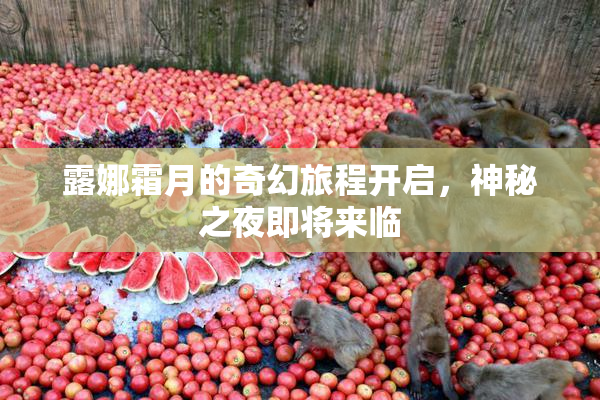 露娜霜月的奇幻旅程开启，神秘之夜即将来临