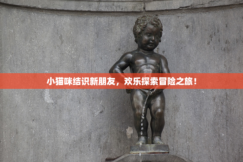 小猫咪结识新朋友，欢乐探索冒险之旅！