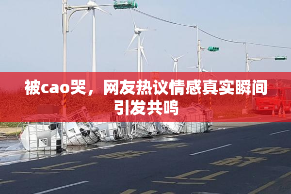 被cao哭，网友热议情感真实瞬间引发共鸣
