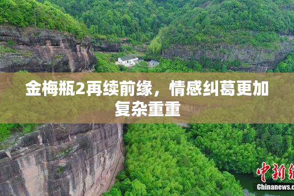 金梅瓶2再续前缘，情感纠葛更加复杂重重