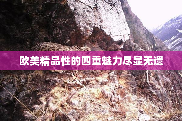 欧美精品性的四重魅力尽显无遗