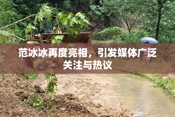 范冰冰再度亮相，引发媒体广泛关注与热议
