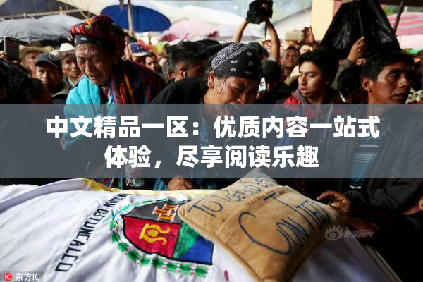 中文精品一区：优质内容一站式体验，尽享阅读乐趣