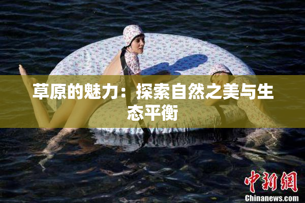 草原的魅力：探索自然之美与生态平衡