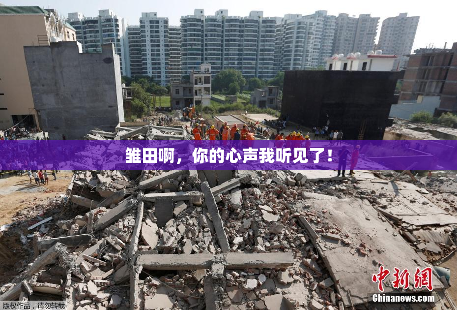 雏田啊，你的心声我听见了！