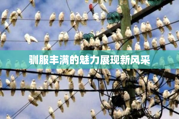 驯服丰满的魅力展现新风采