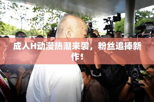 成人H动漫热潮来袭，粉丝追捧新作！