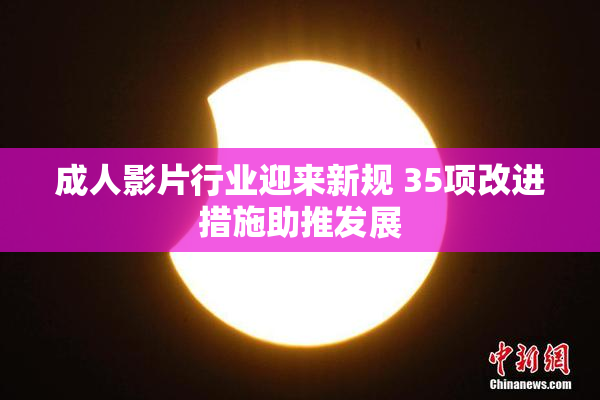 成人影片行业迎来新规 35项改进措施助推发展