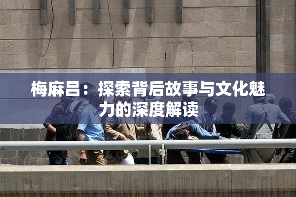 梅麻吕：探索背后故事与文化魅力的深度解读