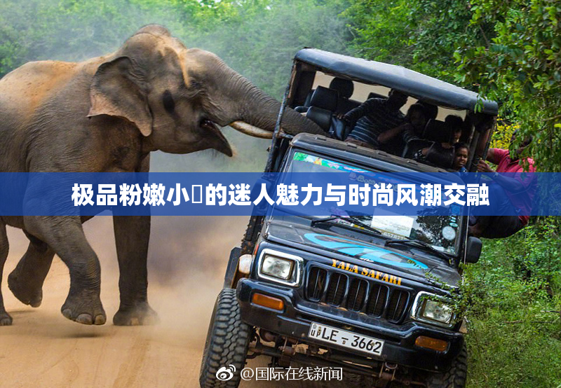 极品粉嫩小泬的迷人魅力与时尚风潮交融