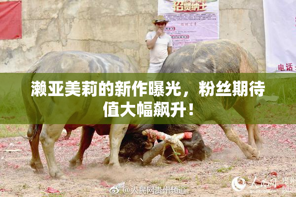 濑亚美莉的新作曝光，粉丝期待值大幅飙升！