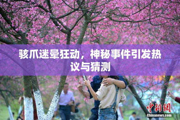 骇爪迷晕狂动，神秘事件引发热议与猜测