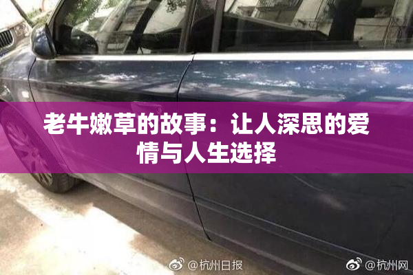 老牛嫩草的故事：让人深思的爱情与人生选择