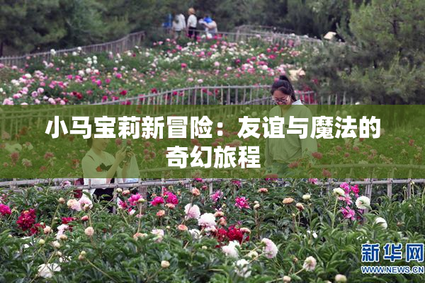 小马宝莉新冒险：友谊与魔法的奇幻旅程