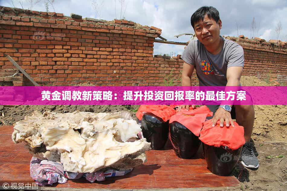黄金调教新策略：提升投资回报率的最佳方案