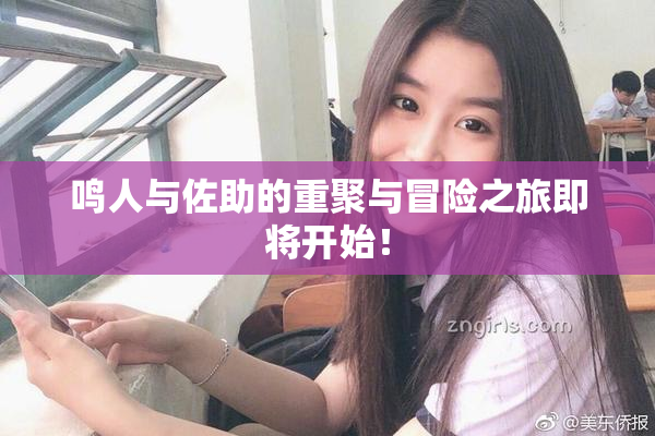 鸣人与佐助的重聚与冒险之旅即将开始！