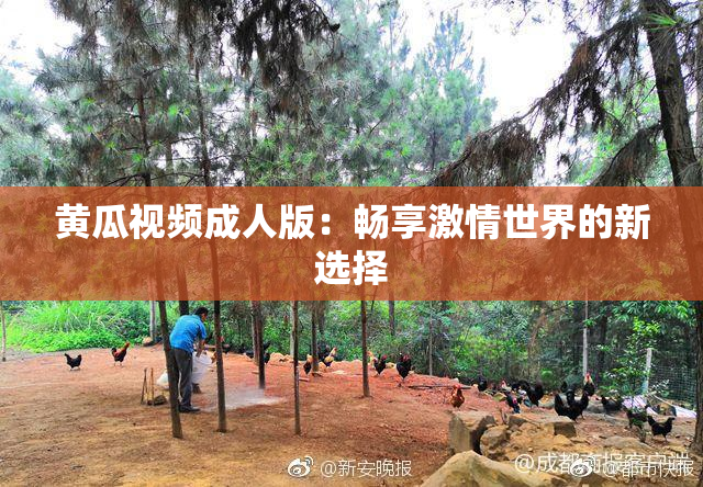 黄瓜视频成人版：畅享激情世界的新选择