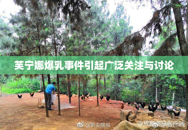 芙宁娜爆乳事件引起广泛关注与讨论