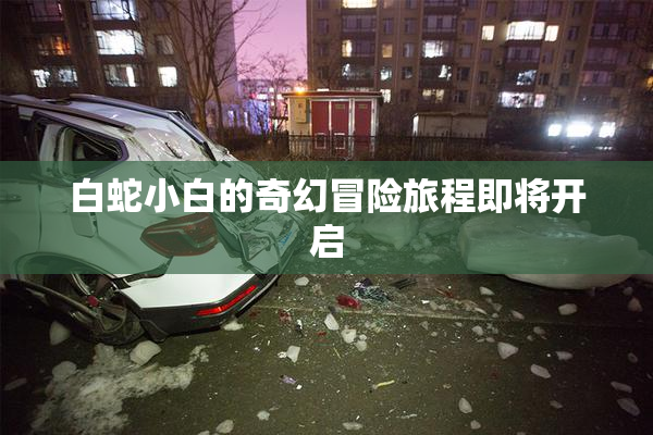 白蛇小白的奇幻冒险旅程即将开启