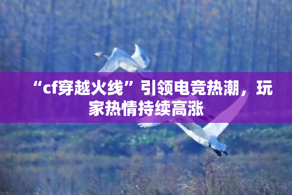 “cf穿越火线”引领电竞热潮，玩家热情持续高涨