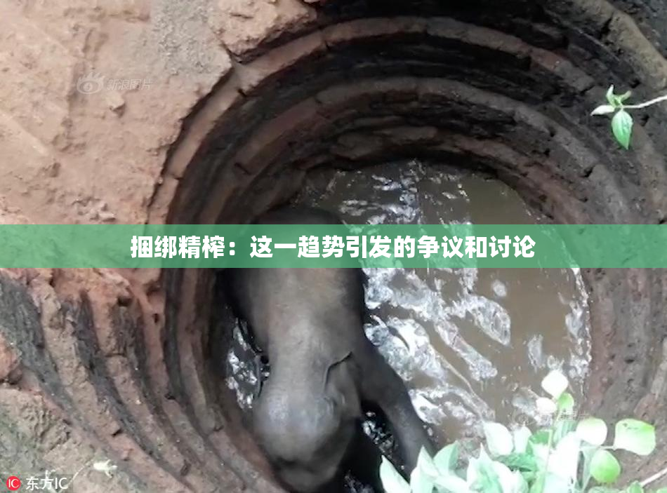 捆绑精榨：这一趋势引发的争议和讨论