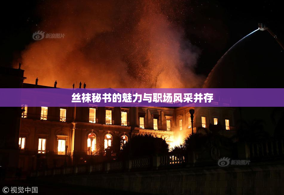 丝袜秘书的魅力与职场风采并存