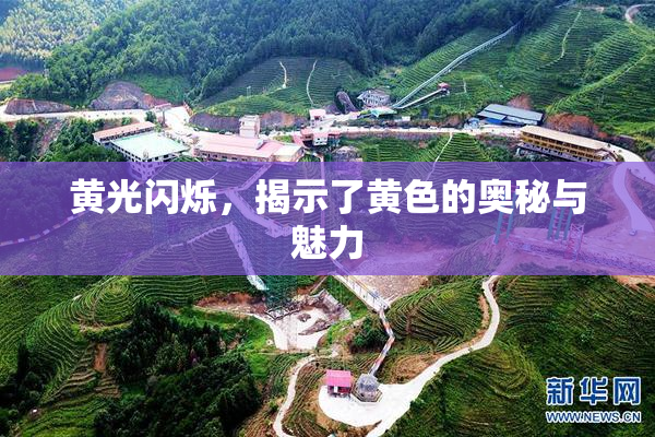 黄光闪烁，揭示了黄色的奥秘与魅力