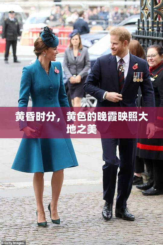 黄昏时分，黄色的晚霞映照大地之美