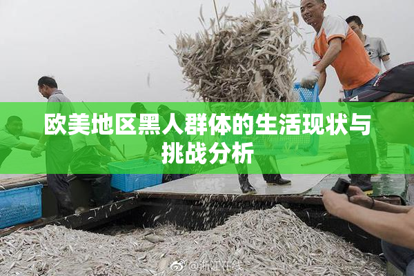 欧美地区黑人群体的生活现状与挑战分析