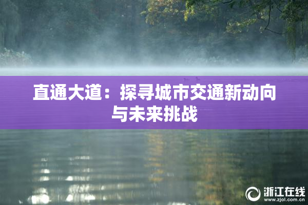 直通大道：探寻城市交通新动向与未来挑战