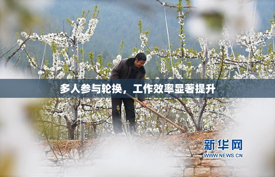 多人参与轮换，工作效率显著提升