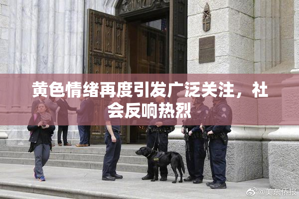 黄色情绪再度引发广泛关注，社会反响热烈