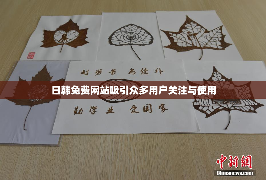 日韩免费网站吸引众多用户关注与使用