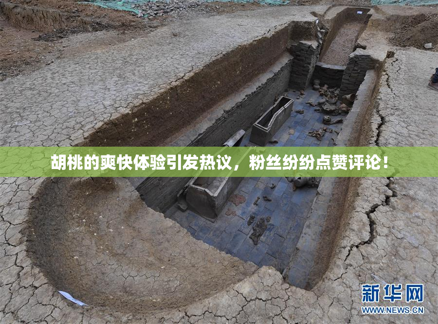 胡桃的爽快体验引发热议，粉丝纷纷点赞评论！