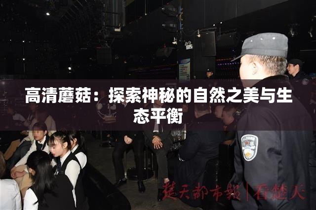 高清蘑菇：探索神秘的自然之美与生态平衡