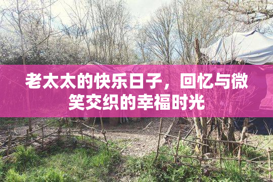 老太太的快乐日子，回忆与微笑交织的幸福时光