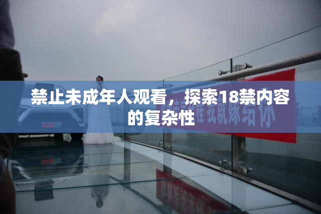 禁止未成年人观看，探索18禁内容的复杂性