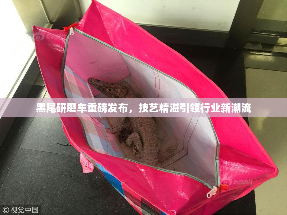 黑尾研磨车重磅发布，技艺精湛引领行业新潮流