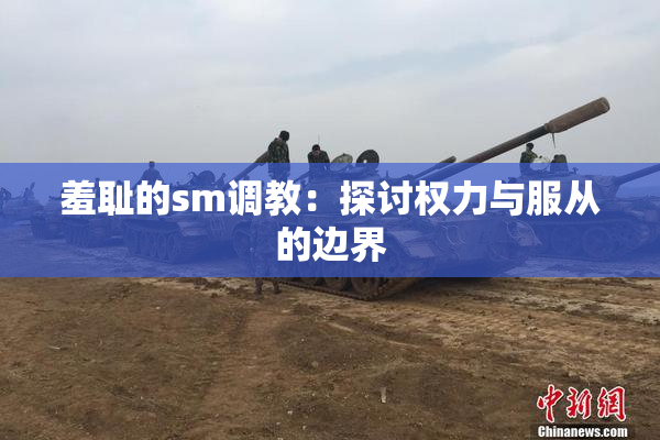 羞耻的sm调教：探讨权力与服从的边界