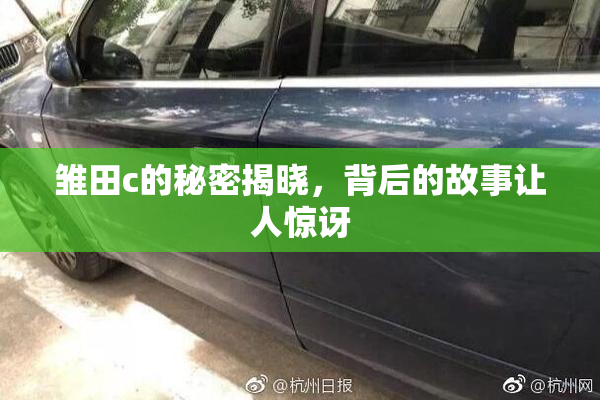 雏田c的秘密揭晓，背后的故事让人惊讶