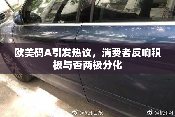 欧美码A引发热议，消费者反响积极与否两极分化