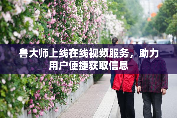 鲁大师上线在线视频服务，助力用户便捷获取信息