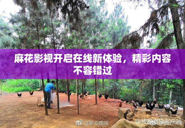 麻花影视开启在线新体验，精彩内容不容错过