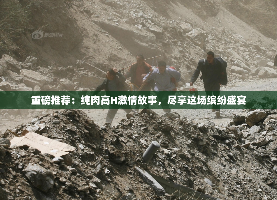重磅推荐：纯肉高H激情故事，尽享这场缤纷盛宴