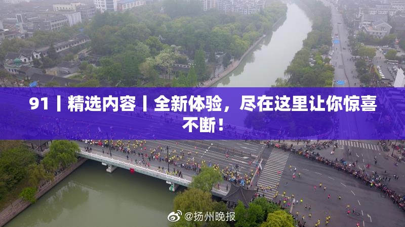 91丨精选内容丨全新体验，尽在这里让你惊喜不断！