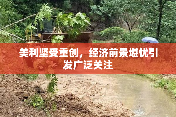 美利坚受重创，经济前景堪忧引发广泛关注