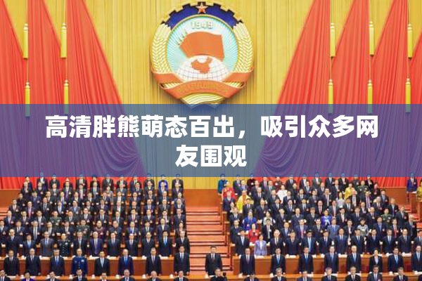高清胖熊萌态百出，吸引众多网友围观