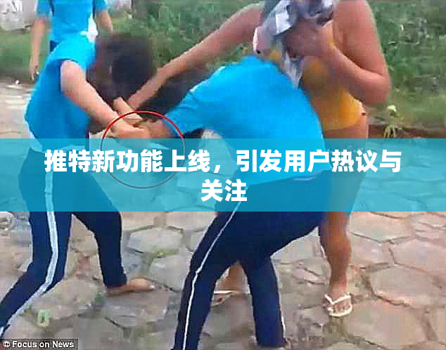 推特新功能上线，引发用户热议与关注