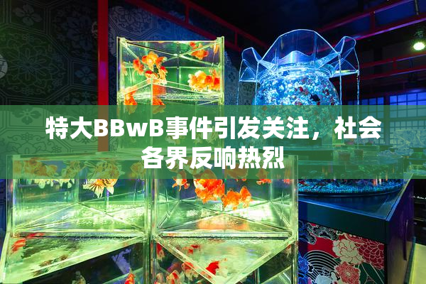 特大BBwB事件引发关注，社会各界反响热烈