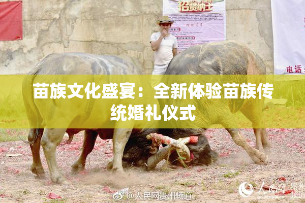 苗族文化盛宴：全新体验苗族传统婚礼仪式